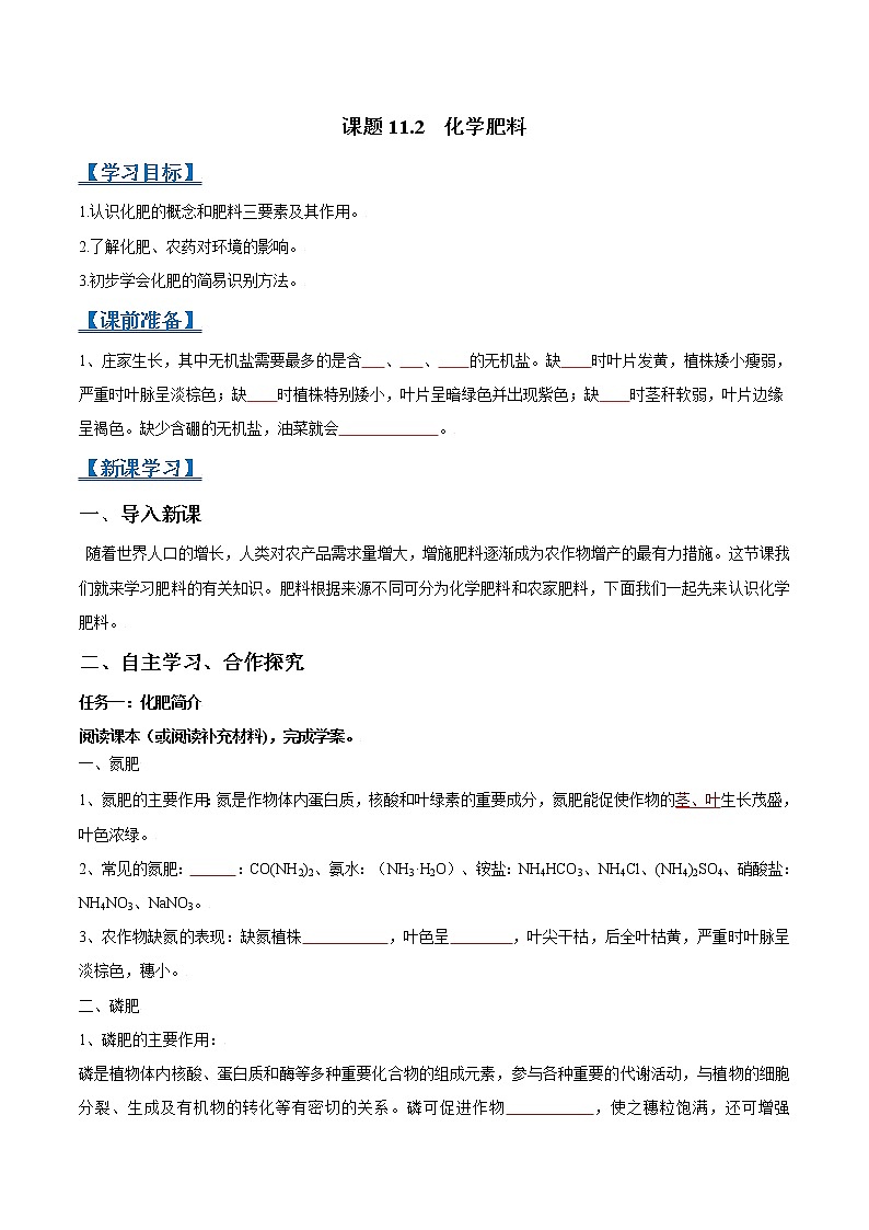 课题11.2 化学肥料-2021-2022学年九年级化学下册精品导学案（原卷版）教案01
