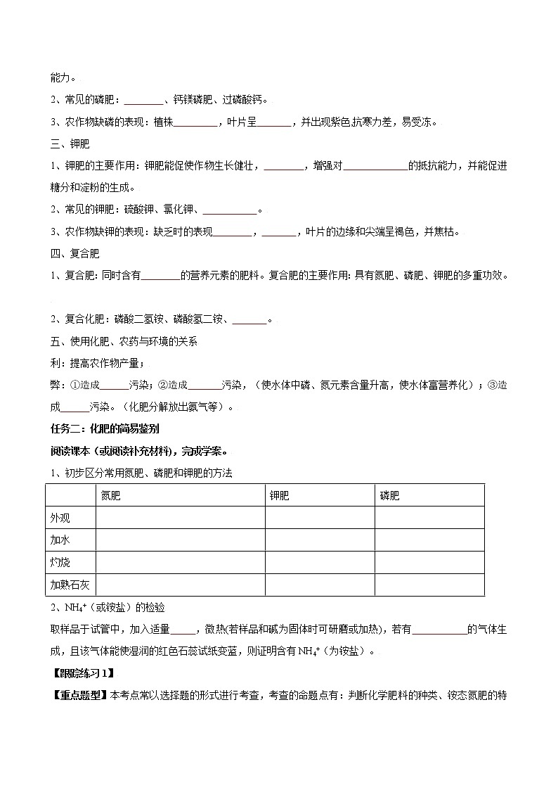 课题11.2 化学肥料-2021-2022学年九年级化学下册精品导学案（原卷版）教案02