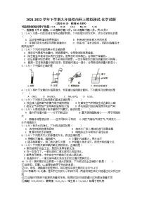 2022年辽宁省葫芦岛市兴城市第四中学网上模拟考试化学试题（有答案）