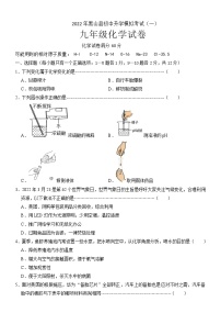 2022年辽宁省锦州市黑山县中考模拟考试（一）化学试题（含答案）