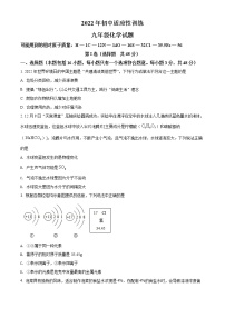 2022年山东省滨州市阳信县中考适应性训练化学试题（含答案）