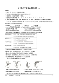 2022年山东省威海市经开区中考学业考试模拟化学试题（A)