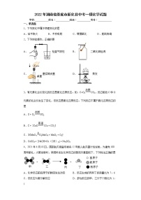 2022年湖南省娄底市新化县中考一模化学试题(word版含答案)