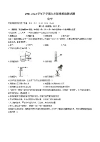 2022年四川省成都市高新区九年级二诊化学试题(word版无答案)