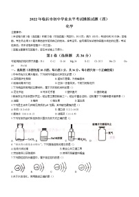 2022年山东省临沂市中考模拟化学试题（四）(word版含答案)