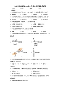 2022年海南省海口市初中学业水平模拟化学试题(word版含答案)