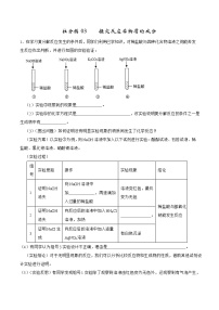 2022年中考化学二轮专题03 探究反应后物质的成分（含答案解析）