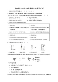 2022年四川省凉山州宁南县模拟考试化学试题(word版含答案)