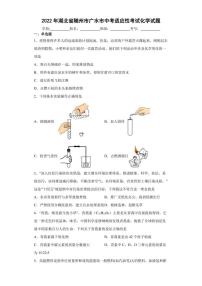 2022年湖北省随州市广水市中考适应性考试化学试题(含答案)