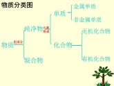 鲁教版九年级下册化学 10.1食物中的有机物 课件