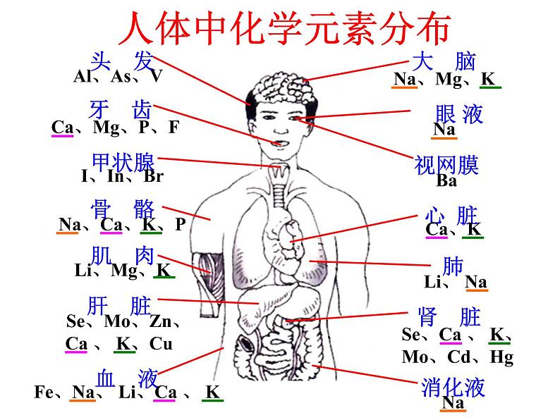 鲁教版九年级下册化学 10.2化学元素与人体健康 课件04