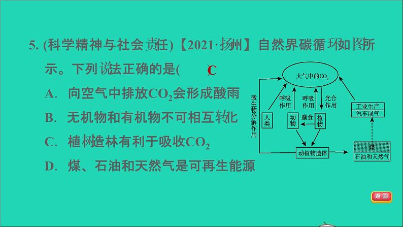 2022年中考化学模块一身边的化学物质第2课时碳和碳的氧化物练本课件第7页