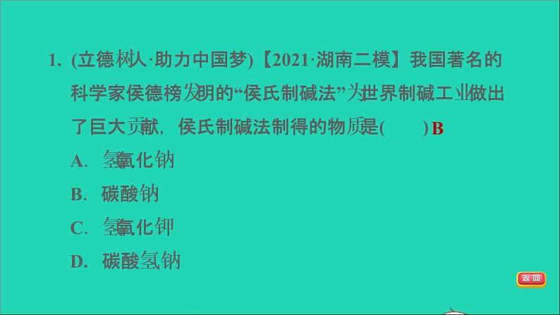 2022年中考化学模块一身边的化学物质第11课时盐化肥练本课件03