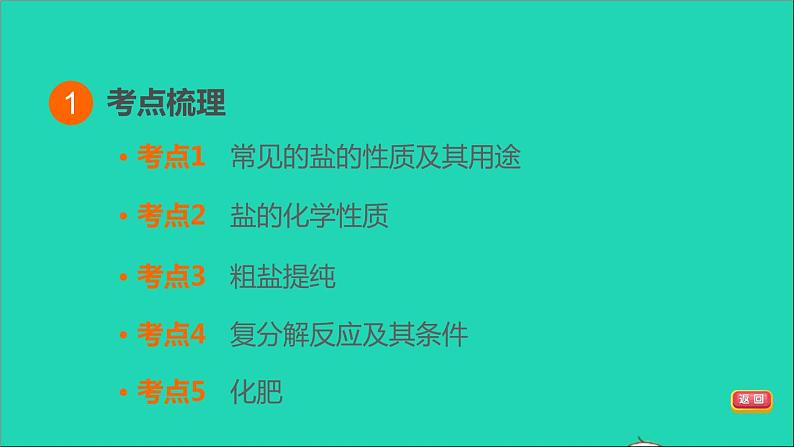 2022年中考化学基础梳理篇模块1身边的化学物质第11课时盐化肥讲本课第3页