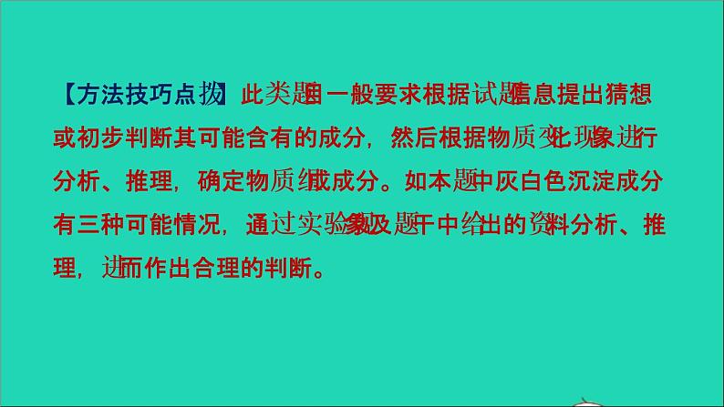 2022年中考化学专题突破篇第28课时实验探究题讲本课件第8页