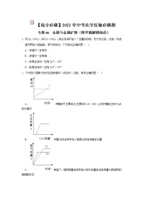 2022年中考化学压轴必刷题专练06  金属与金属矿物（含答案）