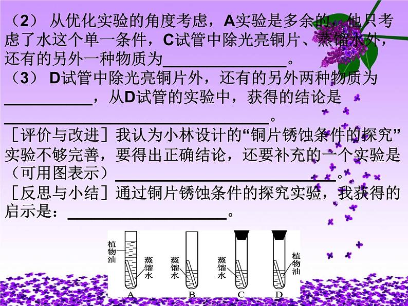 九年级化学科学探究题专题复习课件第7页