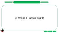 1-11 重难突破5　碱变质的探究（精练）-2021年中考化学一轮复习精讲精练优质课件（全国通用）