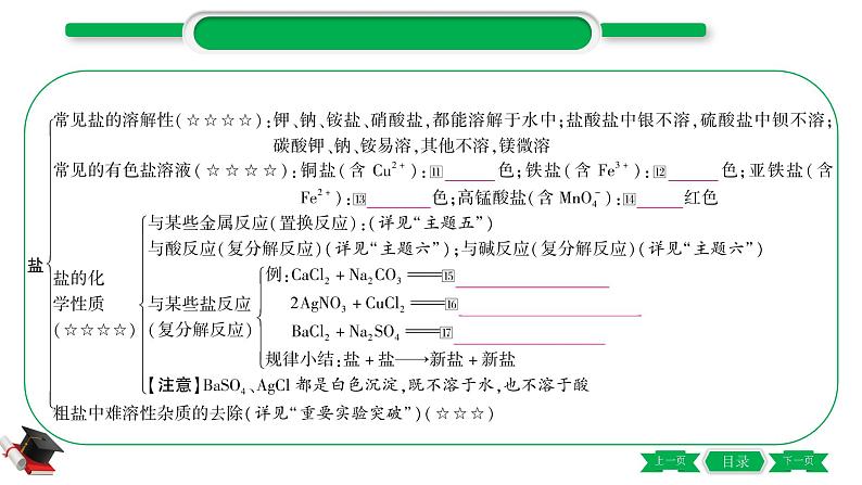 1-12 主题七　盐　化肥（精讲）-2021年中考化学一轮复习精讲精练优质课件（全国通用）第4页