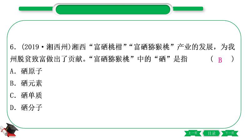 2-2 主题九　构成物质的微粒　元素（精练）-2021年中考化学一轮复习精讲精练优质课件（全国通用）第7页