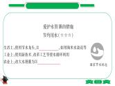 1-3 主题三　自然界的水（精讲）-2021年中考化学一轮复习精讲精练优质课件（全国通用）