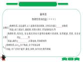 1-2 主题二　碳和碳的氧化物（精讲）-2021年中考化学一轮复习精讲精练优质课件（全国通用）