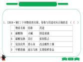 1-12 主题七　盐　化肥（精练）-2021年中考化学一轮复习精讲精练优质课件（全国通用）
