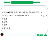 1-12 主题七　盐　化肥（精练）-2021年中考化学一轮复习精讲精练优质课件（全国通用）