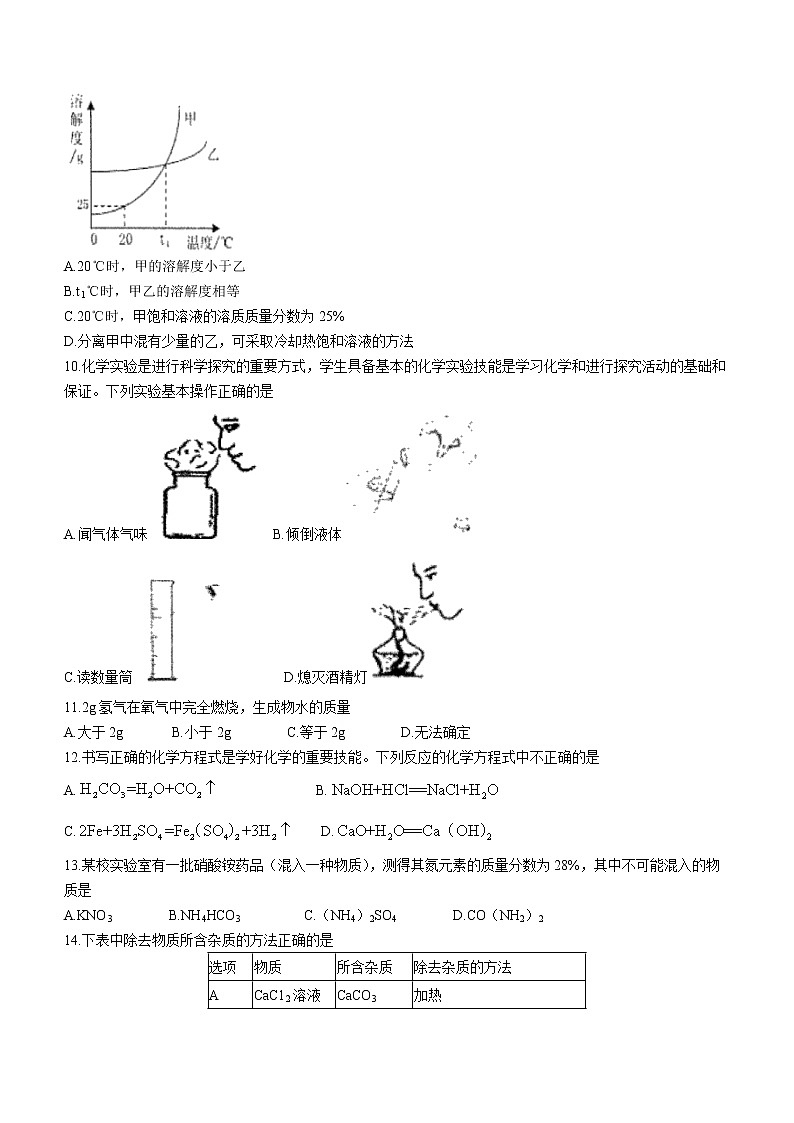 2022年海南省东方市九年级中考调研模拟化学试题（无答案）02