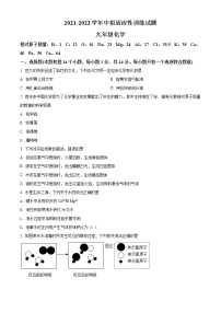 2022年河南省济源市九年级中招适应性训练（一模）化学试题（有答案）