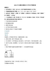 2022年安徽省铜陵市中考模拟化学试题（解析版）