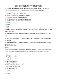 2022年贵州省黔东南州凯里市中考模拟化学试题（解析版）