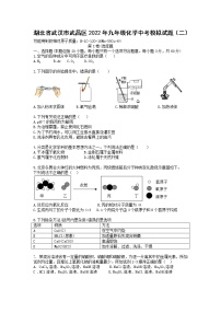 2022年湖北省武汉市武昌区中考化学模拟试题（二）(word版无答案)