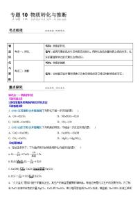 2022年江苏省中考二轮复习沪教版化学专题10 物质转化与推断(解析版)