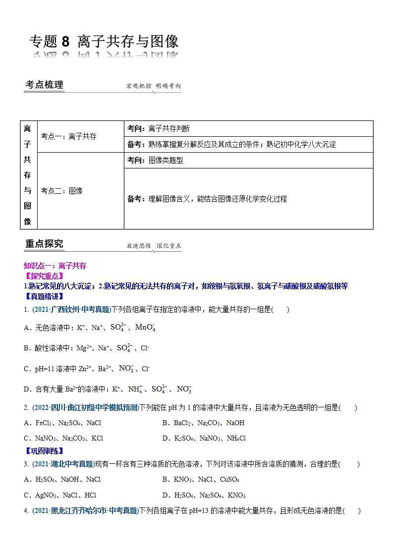2022年江苏省中考二轮复习沪教版化学专题8 离子共存与图像(原卷版)第1页