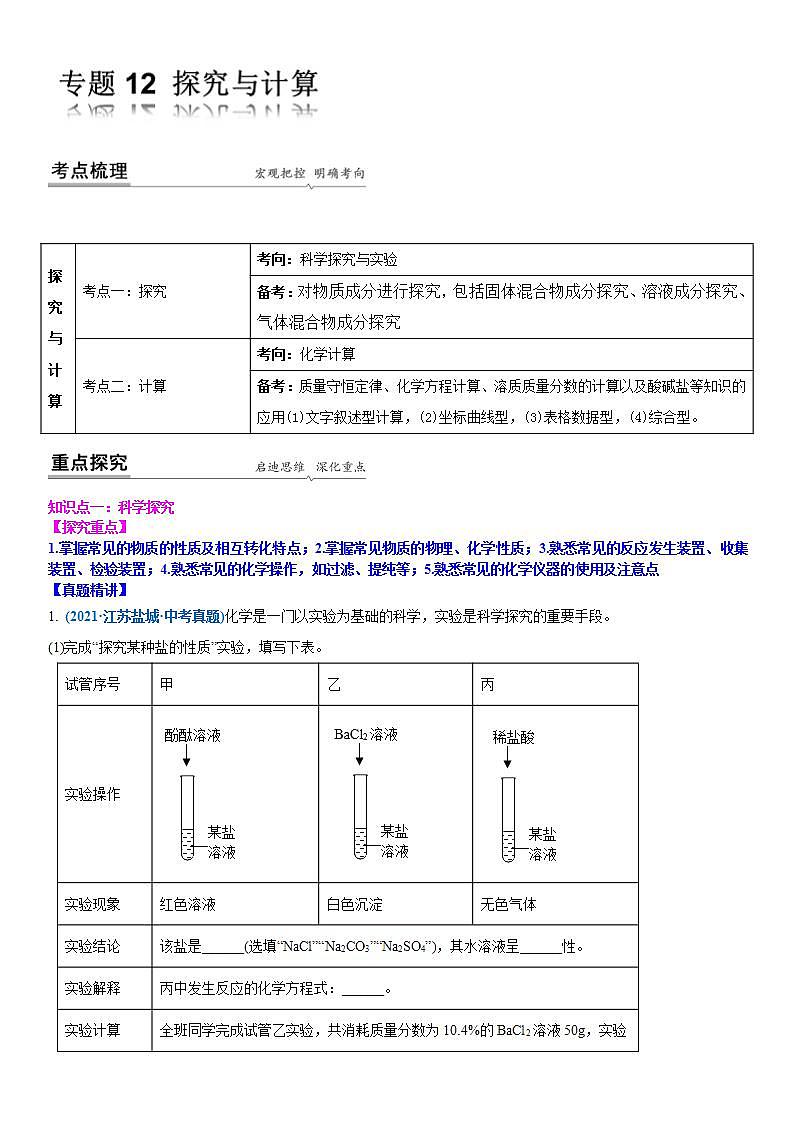 2022年江苏省中考二轮复习沪教版化学专题12 探究与计算(解析版)第1页