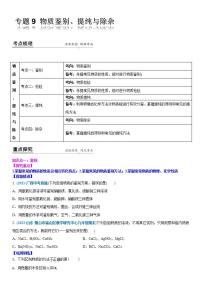 2022年江苏省中考二轮复习沪教版化学专题9 物质鉴别、检验、提纯与除杂(解析版)