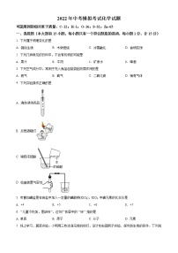 2022年湖北省宜昌市枝江市中考一模化学卷及答案（试卷）