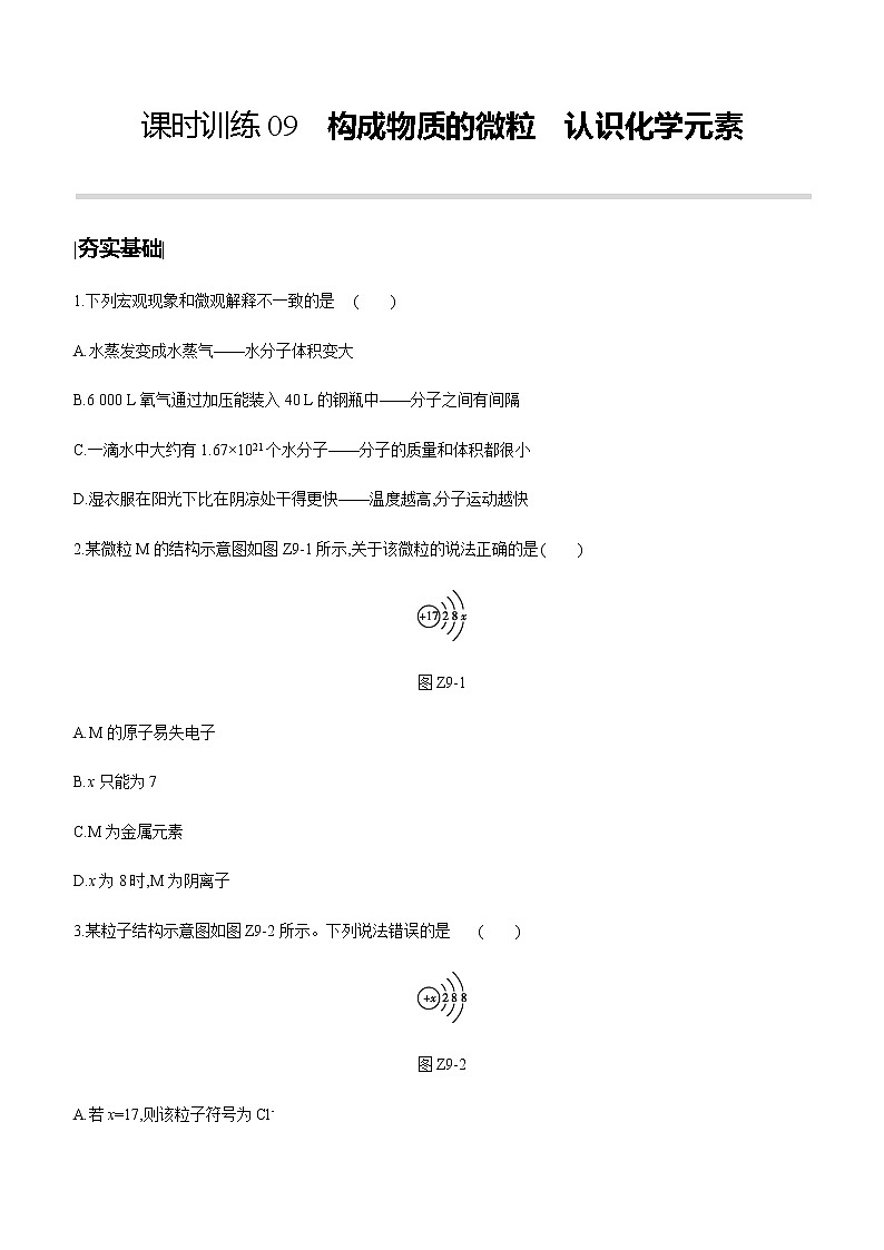 中考化学第一轮复习课时训练（含答案）：09构成物质的微粒　认识化学元素01