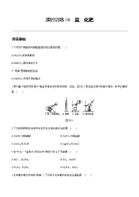 中考化学第一轮复习课时训练（含答案）：08盐　化肥