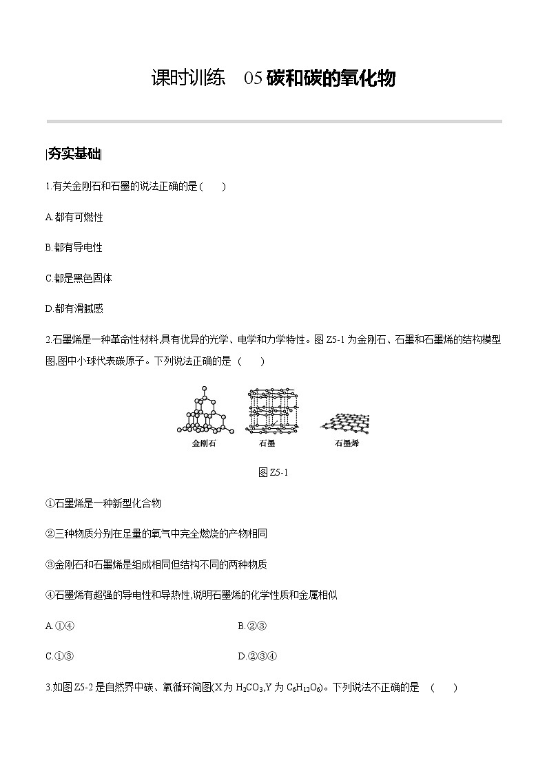 中考化学第一轮复习课时训练（含答案）：05碳和碳的氧化物第1页