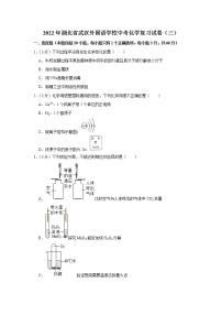 2022年湖北省武汉外国语学校中考化学复习试卷（三）