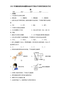 2022年湖南省株洲市醴陵市初中学业水平诊断性测试化学试题(word版含答案)