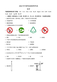 2022年河南省安阳市中考适应性考试化学试题