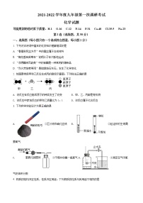 2022年山东省枣庄市台儿庄区中考一模化学卷及答案（文字版）