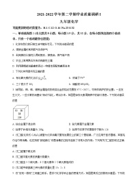 2022年广东省深圳市蛇口育才教育集团育才三中九年级一模化学卷及答案（文字版）