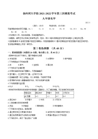 2022年江苏省扬州市树人中学中考三模化学试题(word版无答案)