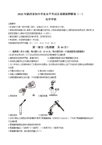 2022年陕西省初中学业水平考试全真模拟化学押题卷一(word版无答案)