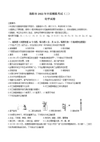 2022年河南省洛阳市中考二模化学试题（含答案）