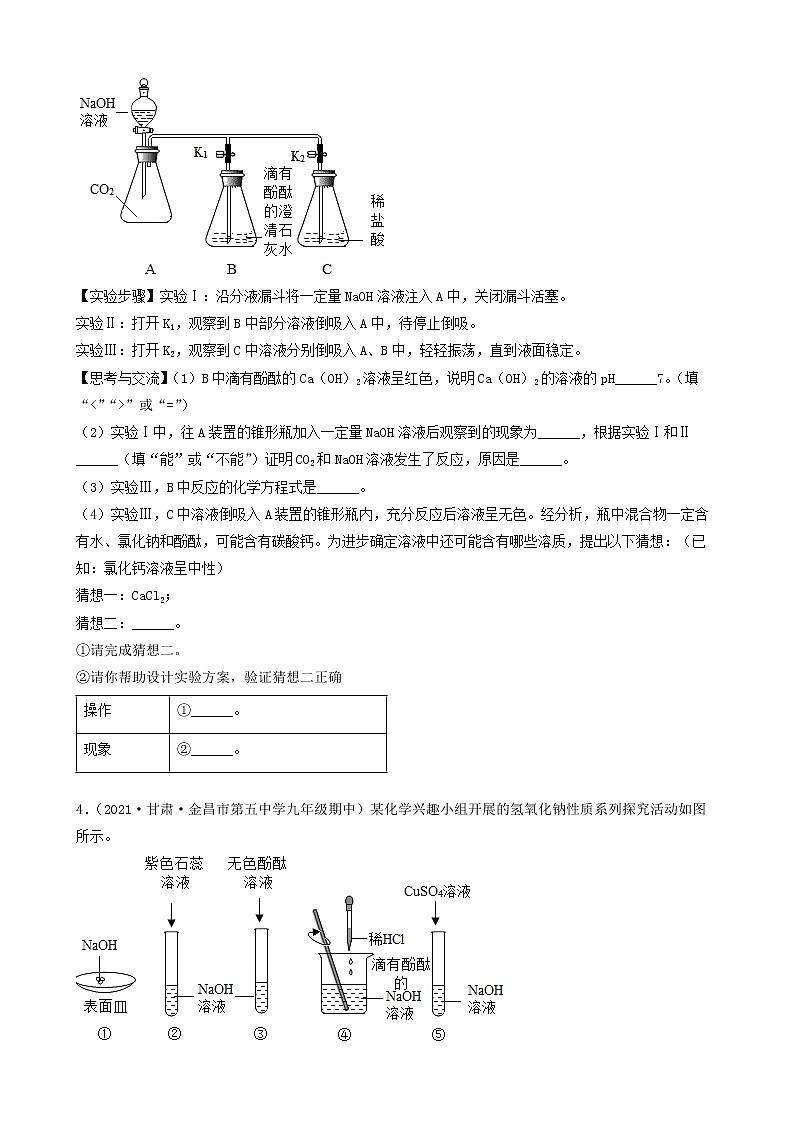 2022年中考化学冲刺复习-科学探究题定性实验之探究酸碱的主要性质（提升题）第3页